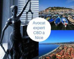 avocat cbd nice