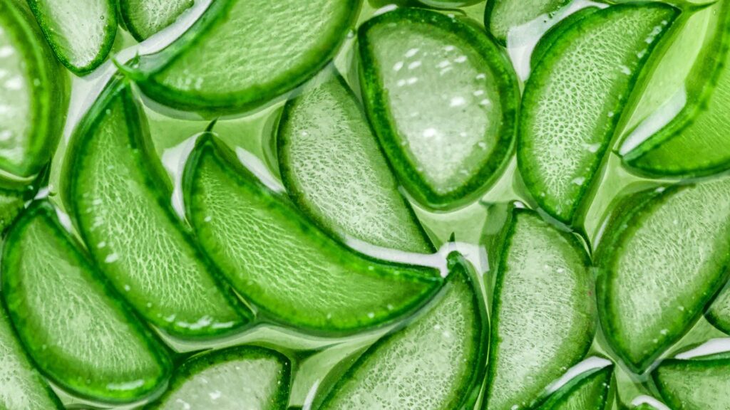 aloe vera