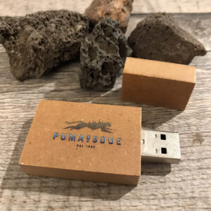 cle usb bois