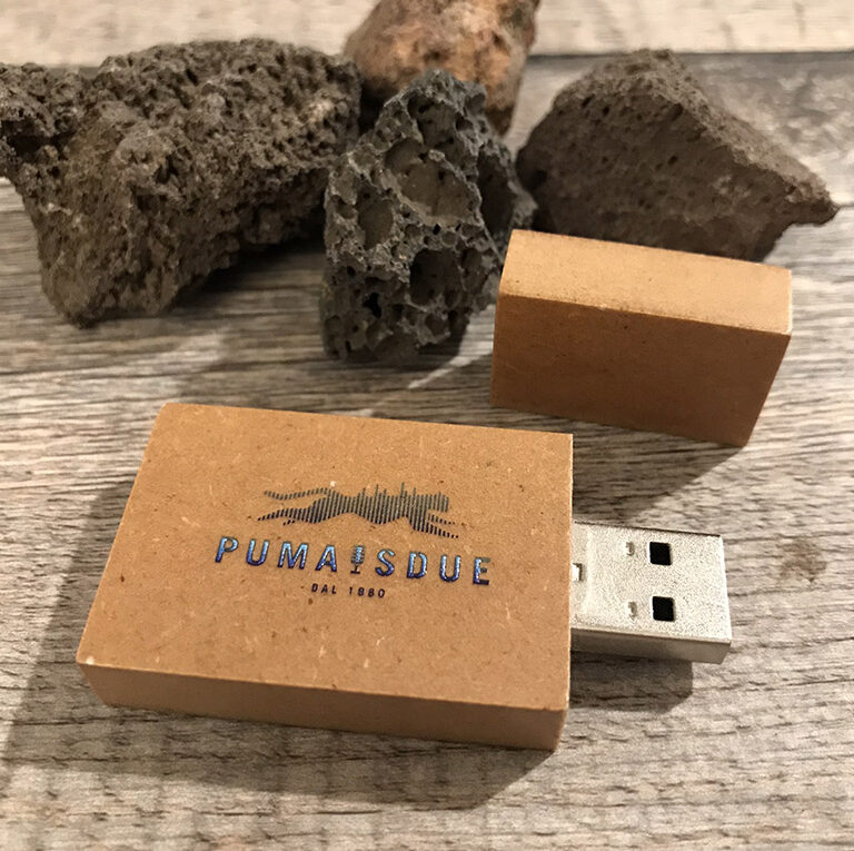 cle usb bois