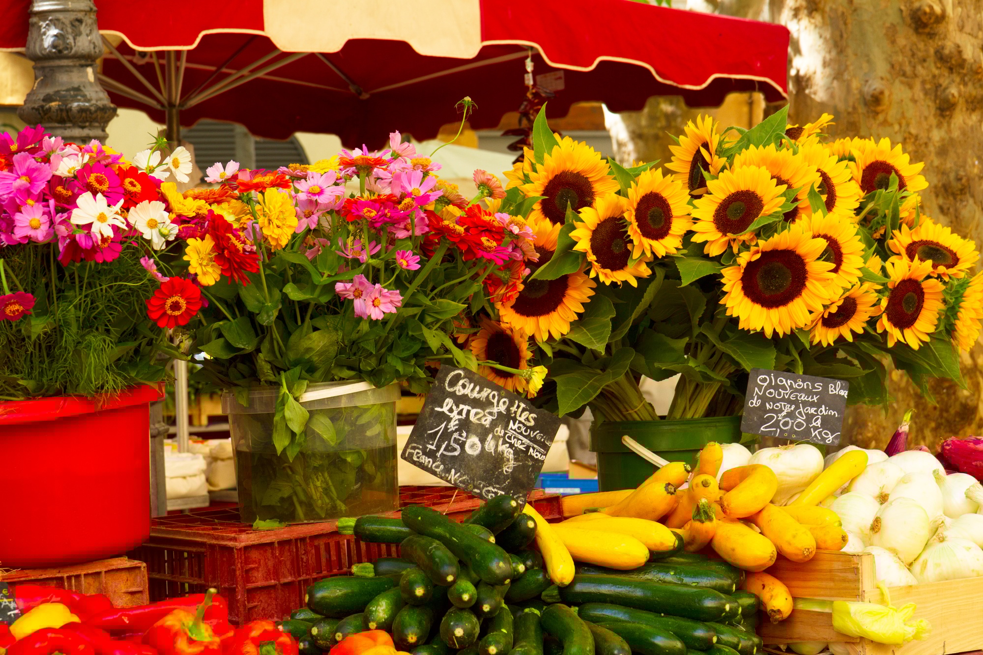 marche cours saleya nice
